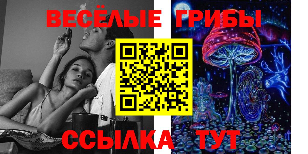 Ноябрьск  Галлюциногенные грибы прущие грибы  Вход с VPN 
